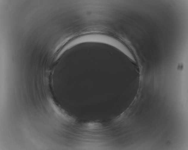 X0000114180154200910221721