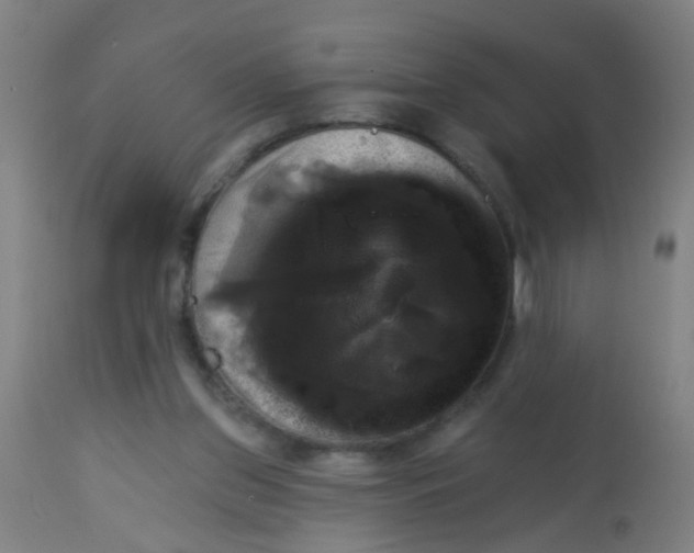 X0000114180157200910221721