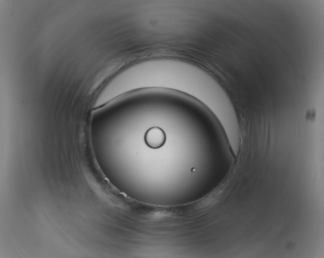 X0000114180158200910221721