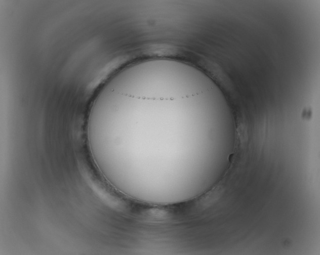 X0000114180159200910221721