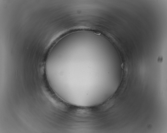 X0000114180160200910221721