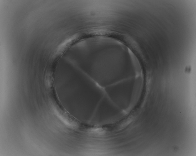 X0000114180161200910221721