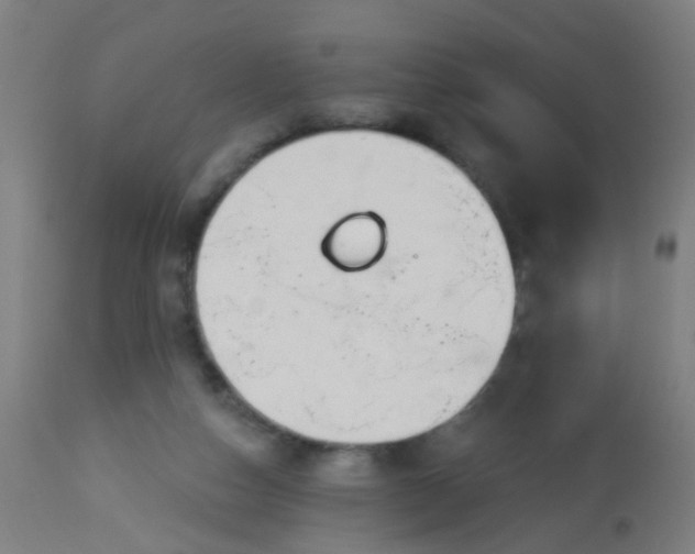 X0000114180162200910221721