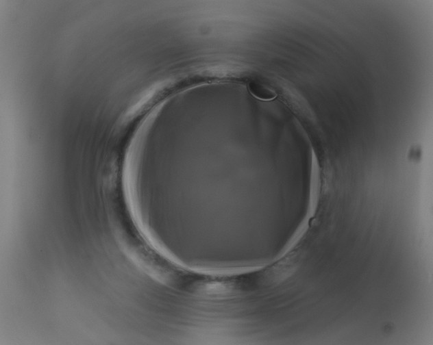 X0000114180163200910221721