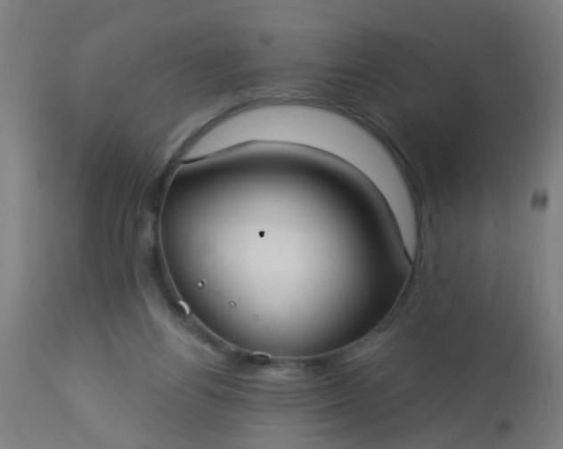 X0000114180164200910221721