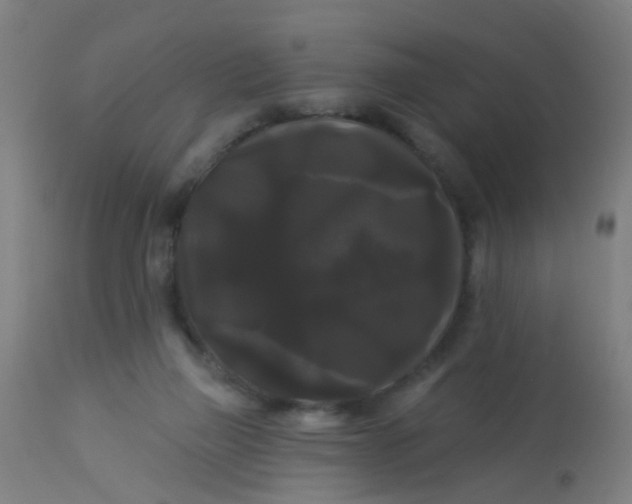 X0000114180165200910221721