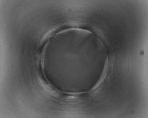 X0000114180167200910221721