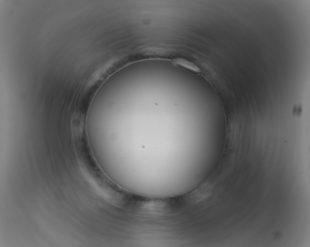 X0000114180168200910221721