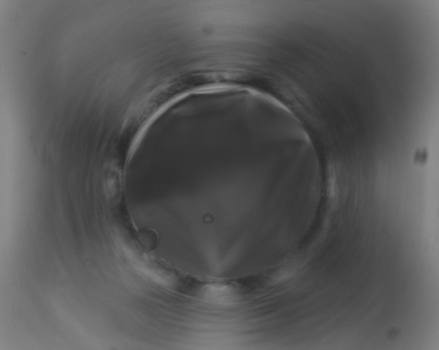 X0000114180169200910221721