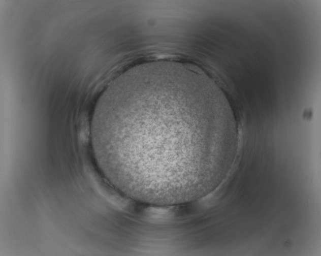 X0000114180170200910221721