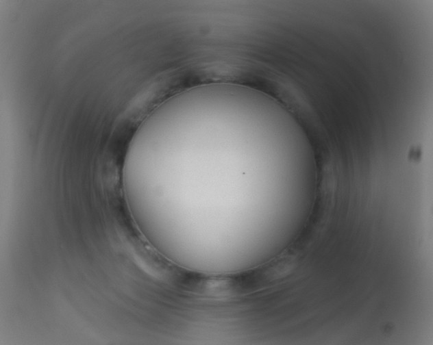 X0000114180173200910221721