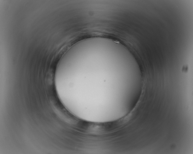 X0000114180174200910221721