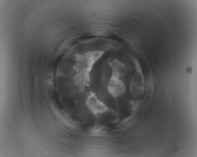 X0000114180175200910221721