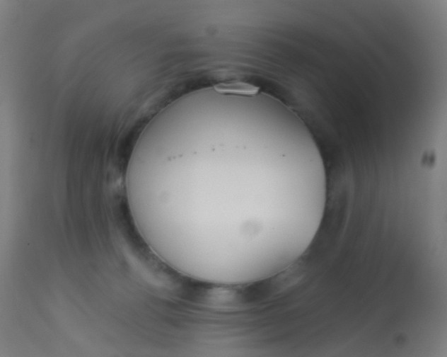 X0000114180176200910221721