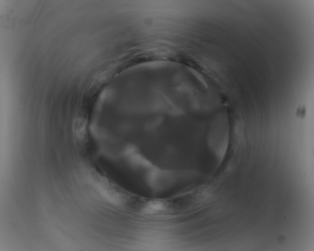 X0000114180177200910221721