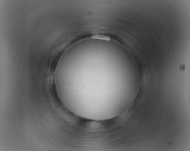 X0000114180180200910221721