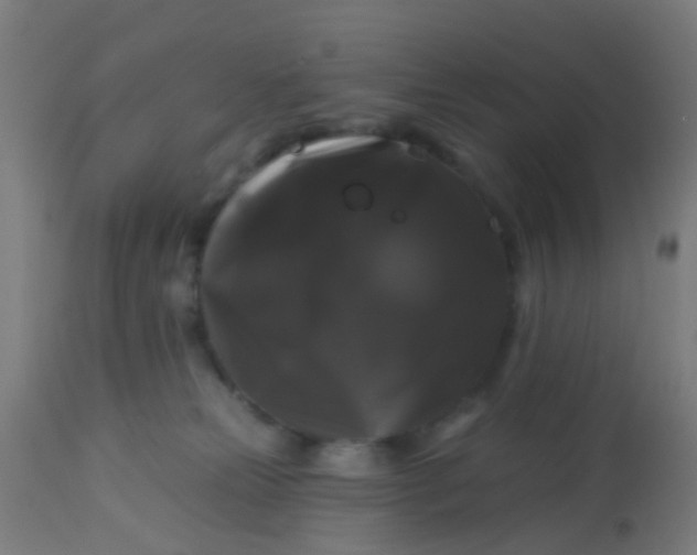 X0000114180181200910221721