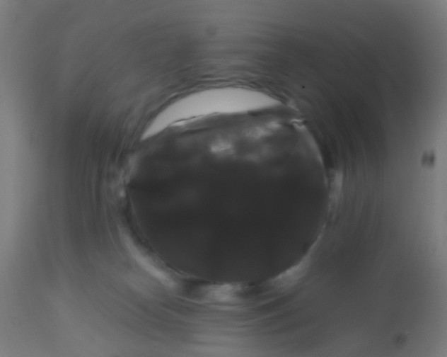 X0000114180182200910221721