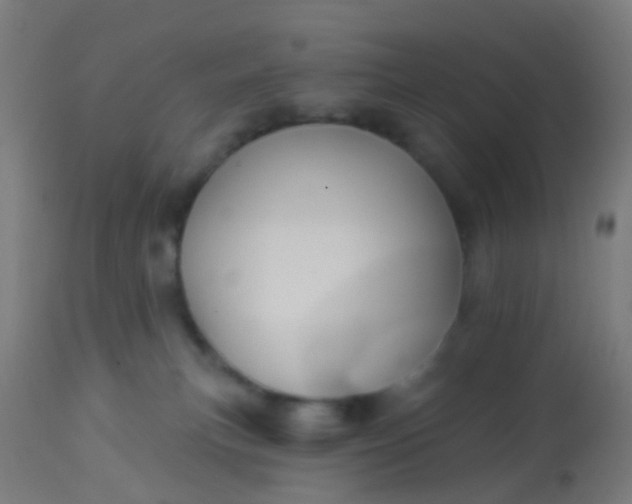 X0000114180183200910221721