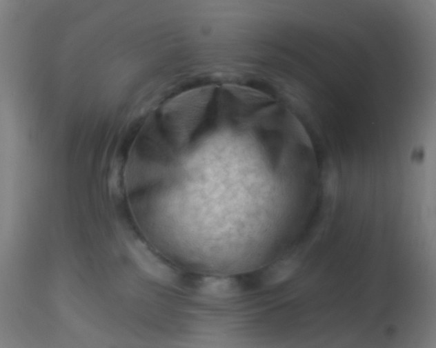 X0000114180185200910221721