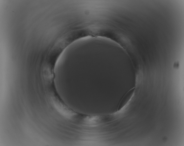 X0000114180186200910221721