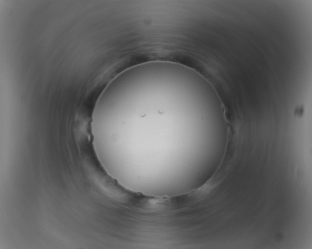 X0000114180188200910221721