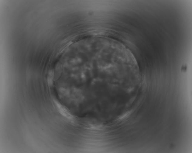 X0000114180189200910221721