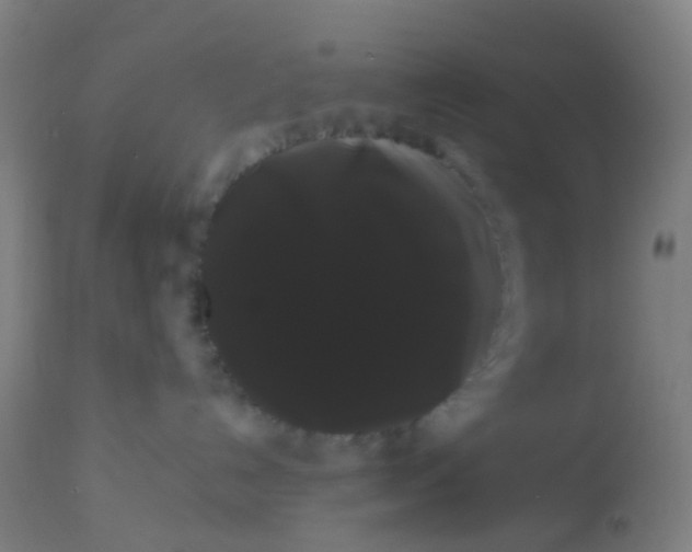 X0000114180192200910221721