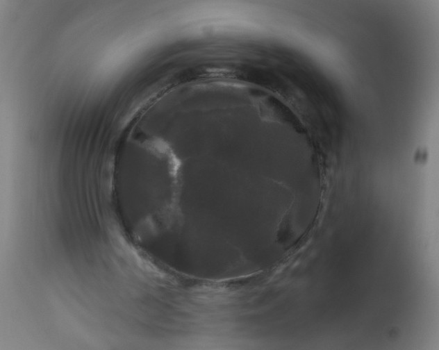 X0000114180194200910221721