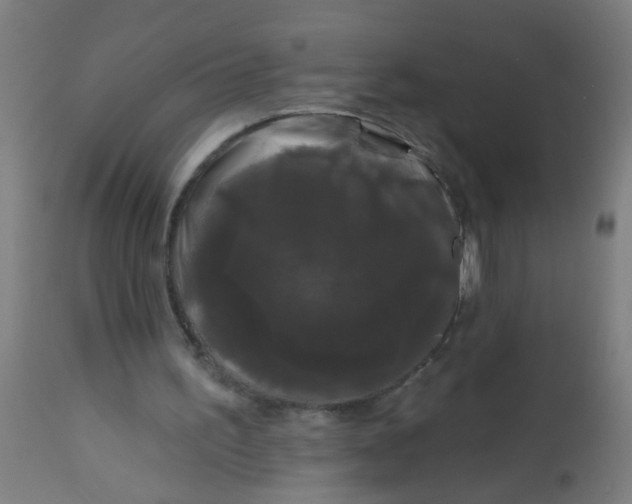 X0000114180195200910221721