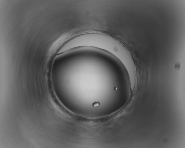 X0000114180197200910221721