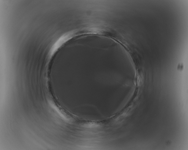 X0000114180198200910221721