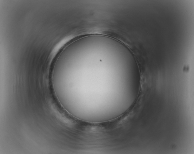 X0000114180200200910221721