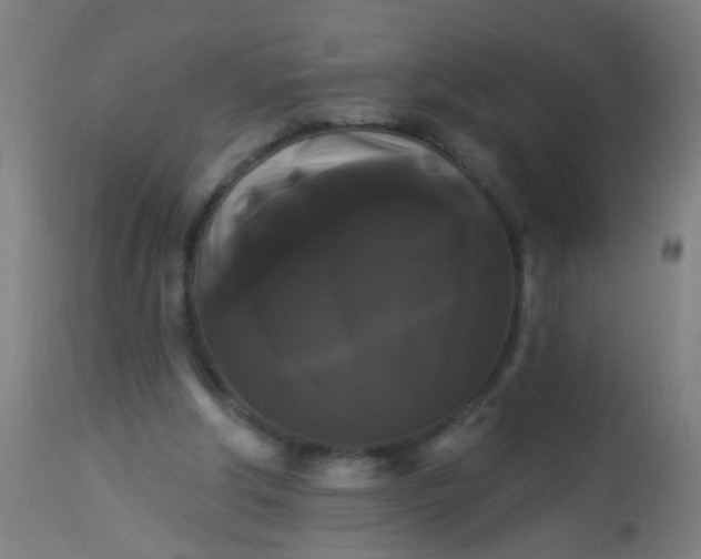 X0000114180202200910221721