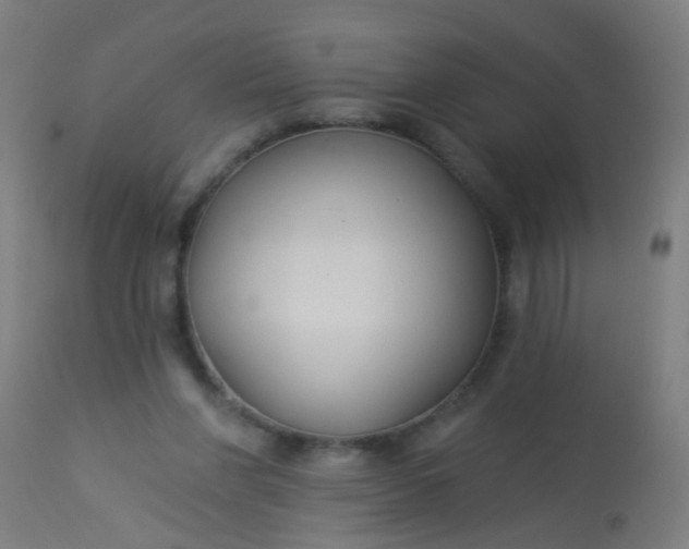 X0000114180206200910221720