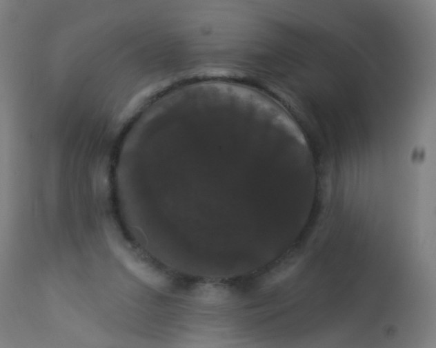 X0000114180207200910221720