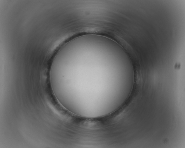 X0000114180208200910221720