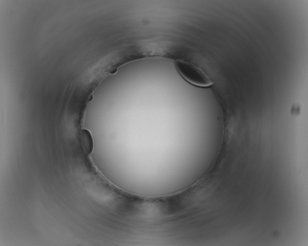 X0000114180209200910221720