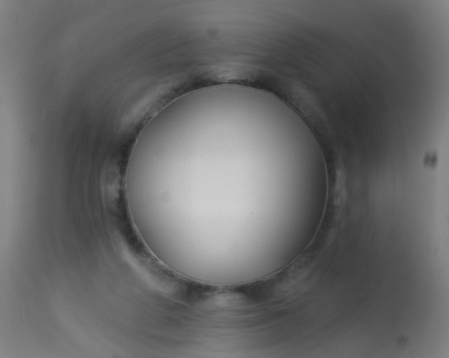 X0000114180210200910221720