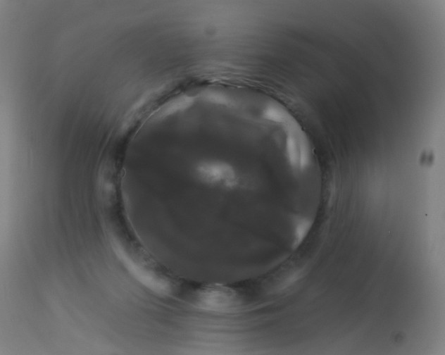 X0000114180215200910221720