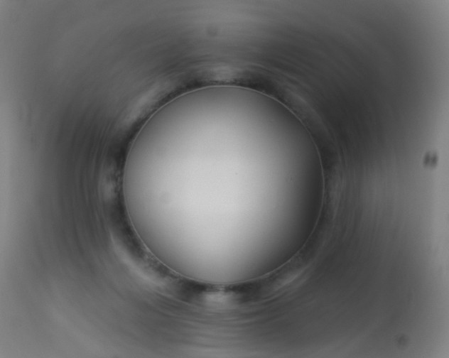 X0000114180216200910221720