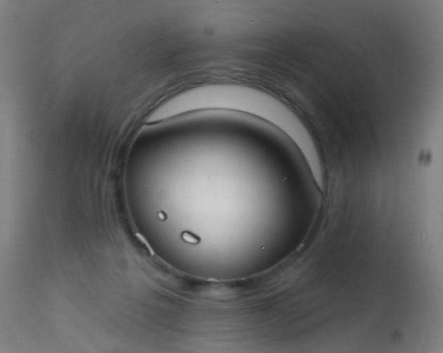 X0000114180217200910221720