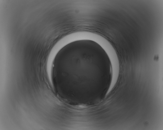 X0000114180219200910221720