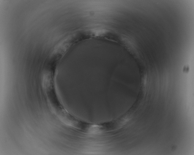 X0000114180222200910221720