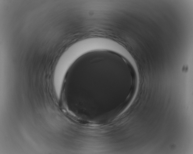 X0000114180223200910221720