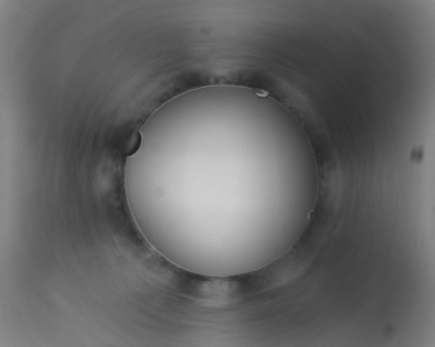 X0000114180225200910221720