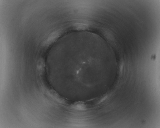 X0000114180228200910221720