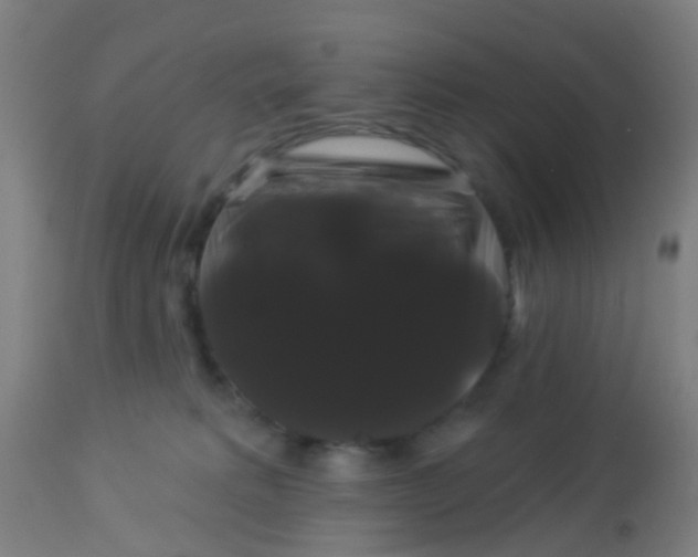 X0000114180229200910221720