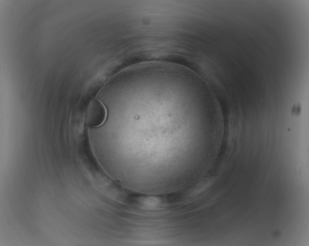 X0000114180230200910221720