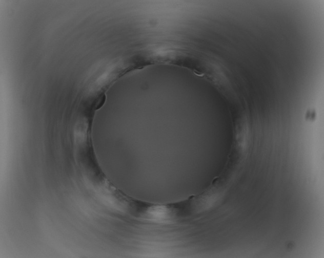 X0000114180231200910221720